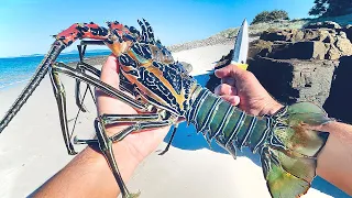 Lobster Catch And Cook, Surviving From The Ocean - SOLO CAMPING An Uninhabited Island - Part 1