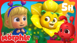 The Flower Power Prize | Morphle's Family | My Magic Pet Morphle | Kids Cartoons