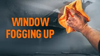 How to prevent car windows from fogging up | AUTODOC tips