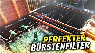 Der PERFEKTE Bürstenfilter! Für den KOITEICH!