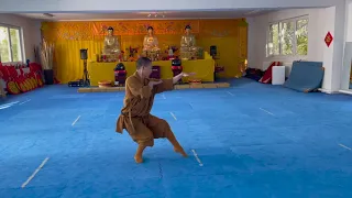 Shaolin Kung Fu - Wu Xing Quan