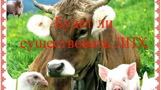 Будет ли существовать ЛПХ?