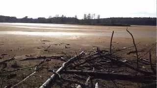 Мазуринское озеро в Балашихе уничтожают