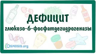 Дефицит глюкозо-6-фосфатдегидрогеназы (Г6ФД) — причины, симптомы, патогенез, диагностика, лечение