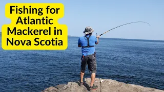 Atlantic Mackerel fishing in Nova Scotia...My best day of the season.