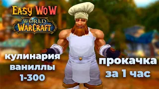 Классический повар | Кулинария WoW Classic 1-300 за 1 час | Кулинария World of Warcraft