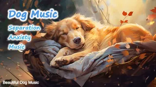 RELAX MY DOG MUSIC!! Longest Video Yet! Relaxing Pet Music, Soundsweep 🐶