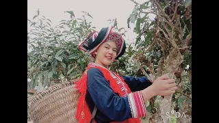 The profession of making Dao ethnic costumes in Ha Giang, Vietnam