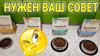 Обзор сухих кормов для кошек и собак Grandorf и NOW FRESH. КОТ отказывается есть / Семья Козырь