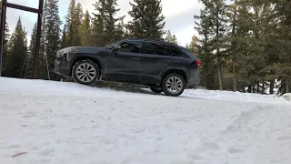 2019 Toyota RAV4 XLE AWD Test