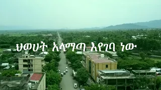 Anchor Breaking የህወሀት ጦር አለማጣ እየገባ ነው፤ ነዋሪው በመሰደድ ላይ ነው፥ የአላማጣ አስተዳደር ከተማዋን ለቆ ወጥቷል