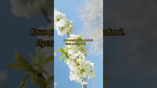 Очень мощный и сильный стих про любовь.💞 Слова со смыслом. Красивое🔥поэт Владимир Ток. #shorts #стих