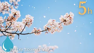 Japanese Cherry Blossom - Relaxing Piano Music for Stress Relief and Deep Relaxation　桜BGM