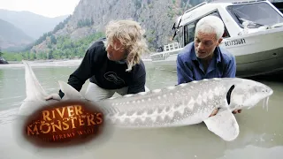 Bringing in 140lb White Sturgeon | River Monsters
