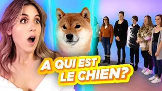 ON DEVINE À QUI EST LE CHIEN? | DENYZEE