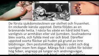 Hög - och senmedeltid