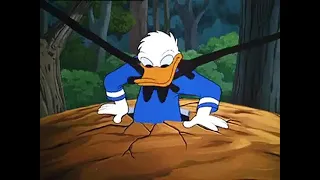 Donald Duck   All In A Nutshell part 2