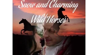 Snow and Charming - Wild Horses