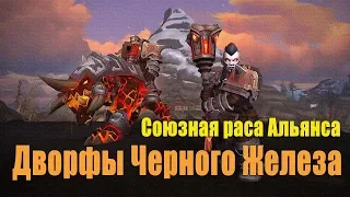 Союзная раса Альянса: дворфы Черного Железа. Dark Iron Dwarves. WOW: Battle for Azeroth.