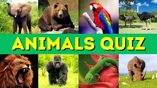 Animals Trivia Quiz - Questions and Answers - Quiz Questions - Fun Animal Facts - GK