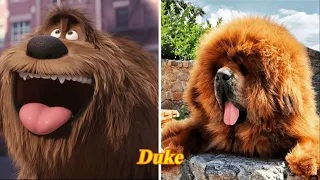 The Secret Life of Pets Characters in Real Life