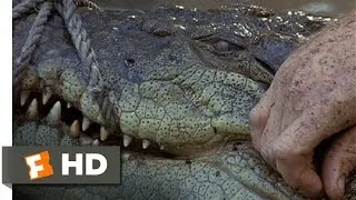 The Crocodile Hunter: Collision Course (9/10) Movie CLIP - Smart Croc (2002) HD