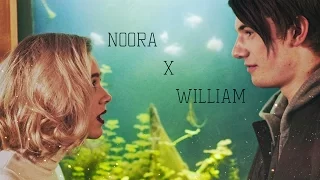 noora x william / лишь ты мое солнце