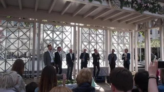 Московская весна a cappella. Группа "The Buzztones