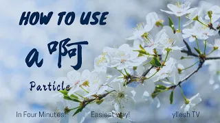 Mandarin Chinese Particles| How to use a啊| yllesh TV