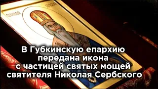 В Губкинскую епархию передана икона с частицей святых мощей святителя Николая Сербского