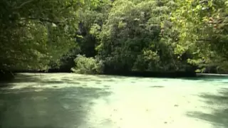 Palau Tour, Micronesia by Asiatravel.com