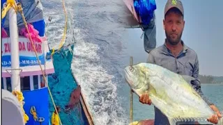 Ratnagiri fishing | Madosa fish catching | Aarya | Net fishing in deep sea