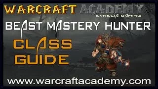 5.4 Beast Mastery Hunter DPS Guide - Warcraft Academy