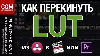 Как перекинуть LUT из DaVinci в Final Cut или Premier Pro