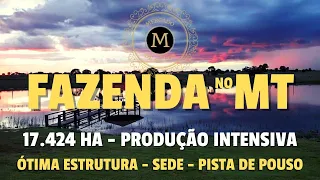 FAZENDA ESPETACULAR EM COCALINHO-MT COM 17.424 HA DUPLA APTIDÃO E PISTA DE POUSO - MercadodeAtivos