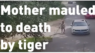 Mother mauled to death trying to save daughter from a tiger