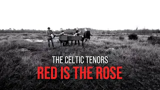 The Celtic Tenors Red is the Rose [Official Video]