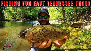 East Tennessee Trout Fishing