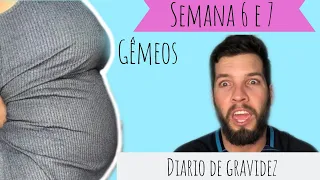 DIÁRIO DE GRAVIDEZ GEMELAR (semanas 6 e 7)