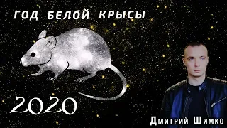 Восточный Гороскоп - 2020. Общие положения года. Астротиполог, Нумеролог - Дмитрий Шимко