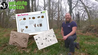Wildlife Wednesday: Mammal tracks and signs