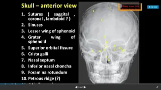X rays Head and Neck Dr Shabana Anatomy