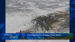 ЧТО ПРОЛИЛОСЬ В ВОДЫ РЕКИ УРАЛ?