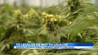 Hawaii legislators introducing bill that permits recreational marijuana legalization