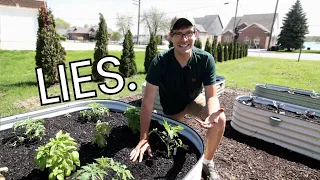 Everything About Companion Planting Is a LIE