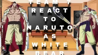 team 7 react to naruto as white beard