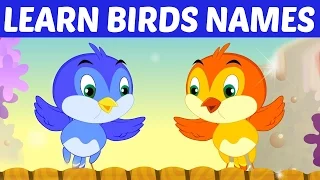 Learn English Birds Names - Animation Preschool Nursery rhymes for children