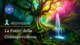 Meditazione guidata connessione con l'Universo e sogno lucido | Niccolò Angeli