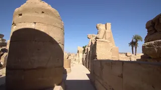 The road of rams إفتتاح طريق الكباش