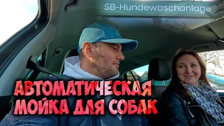 Влог, как проходит наш с Алёной день, коротко о моей Audi A6 Competition, как я ухаживаю за ней